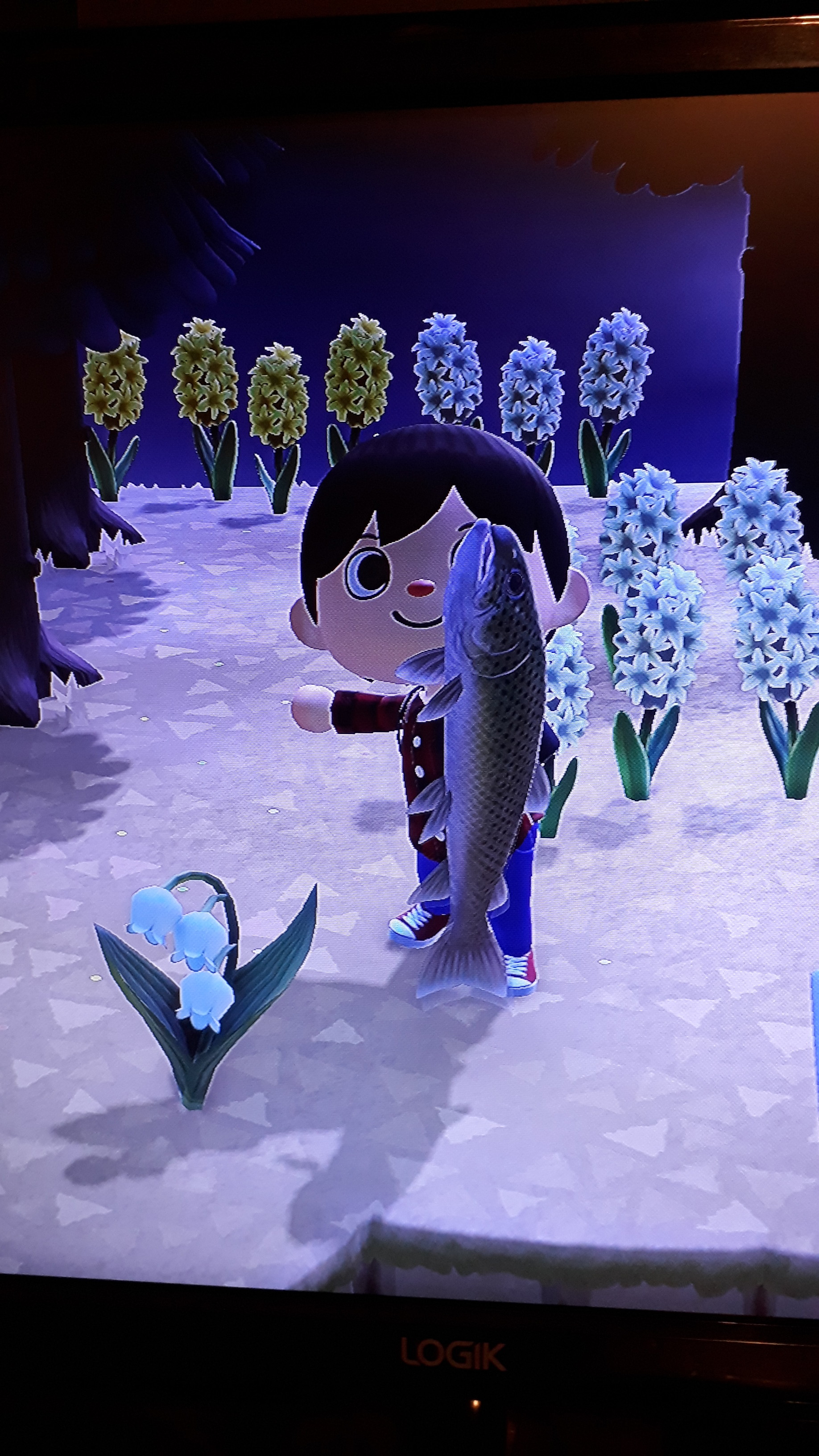 December's Bugs, Sea Creatures and Fish - Animal Crossing: New Horizons ...